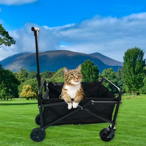 Collapsible Wagon Stroller